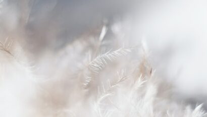 evie-s-Sw7f58YJbc0-unsplash