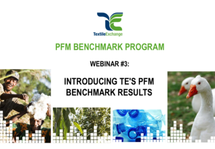 PFM3.1