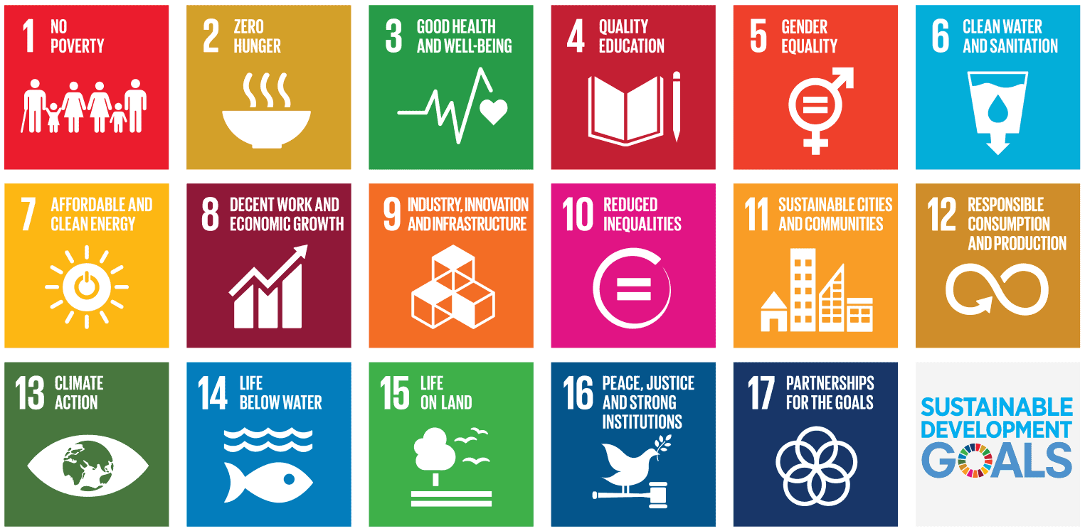 SDG Banner.