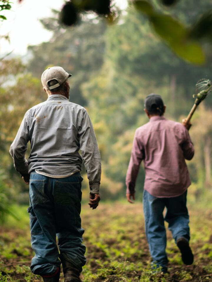 Textile Exchange Standards