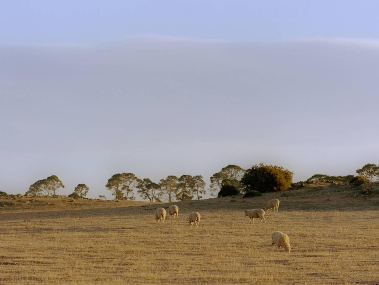 Fiber and Materials Matrix - Textile Exchange